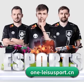 AI 革新（leisu sports）